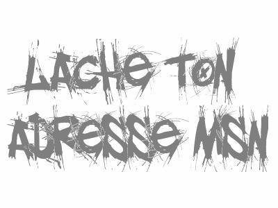 lache tn adresse msn